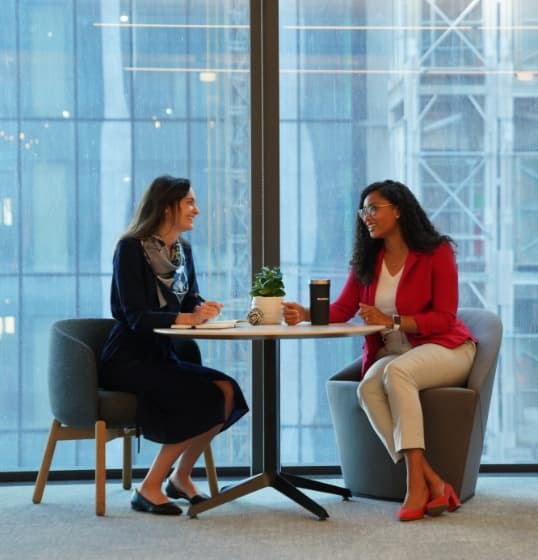 Two professionals having a meeting